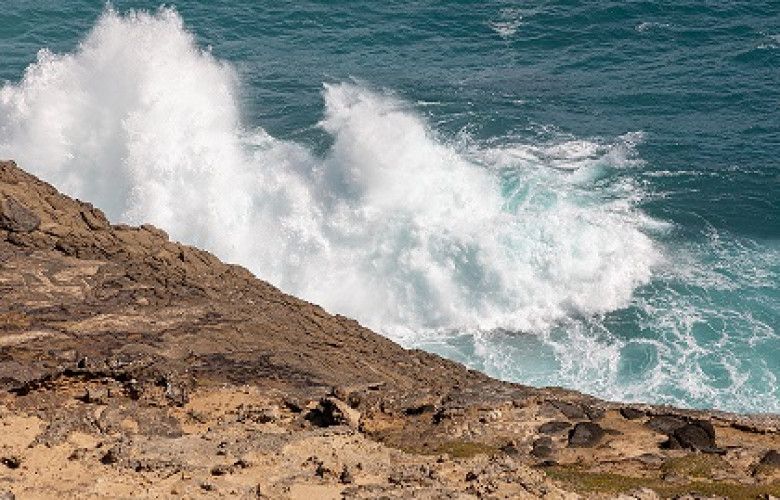 231208 Cape Bridgewater AU Petrified Forest 2019 0760