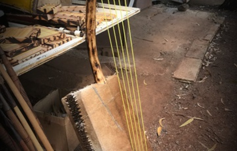250822 String instruments