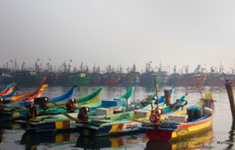 260323 Colourful Fishing Boats 18590121