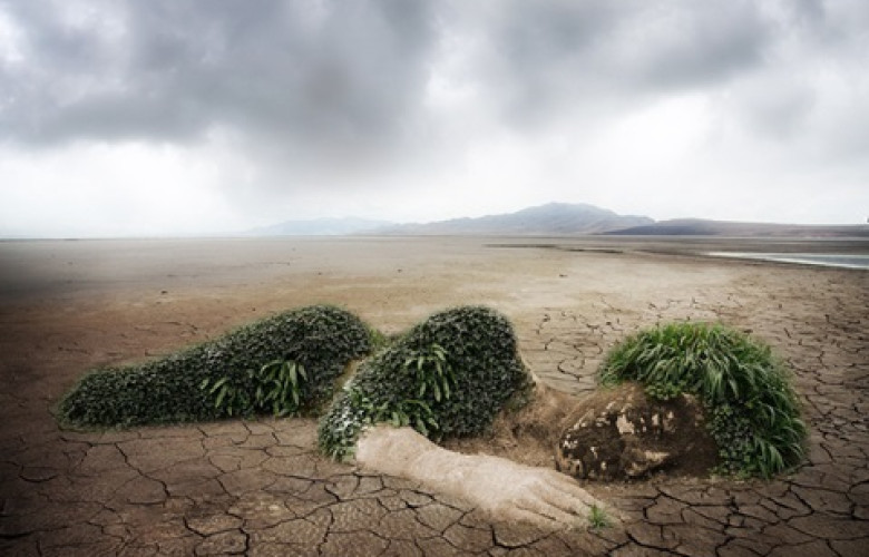 261008 Climate change environment