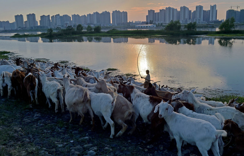 Invisible China