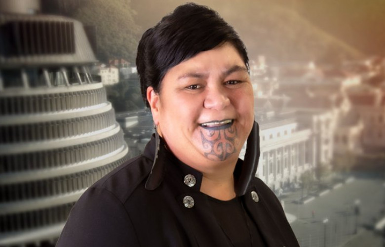 NANAIA MAHUTA option 2